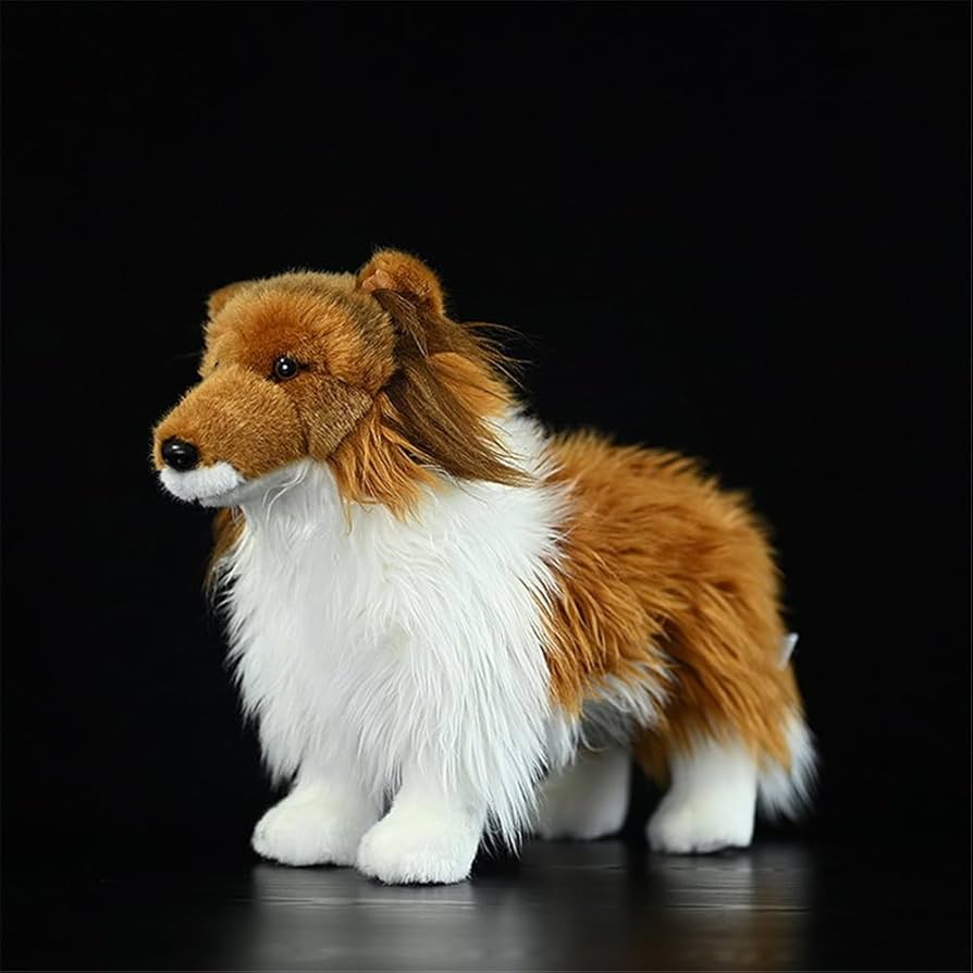 特撮 Shetland Sheepdog (Pet love) 特撮 Shetland Sheepdog (Pet love) Photos by Mini CHW